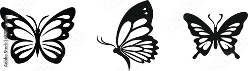 Set of a butterfly, vector illustration.