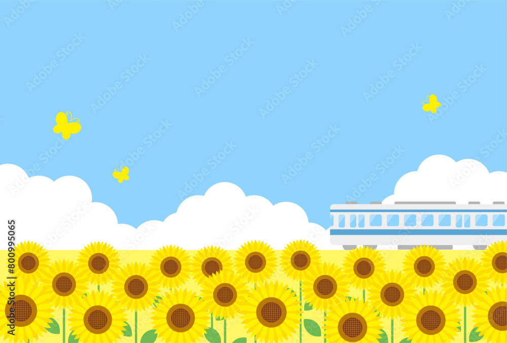 summer vector background with a train and sunflower field in the sky for banners, cards, flyers, social media wallpapers, etc. summer vector background with a train and sunflower field in the sky for banners, cards, flyers, social media wallpapers, etc.