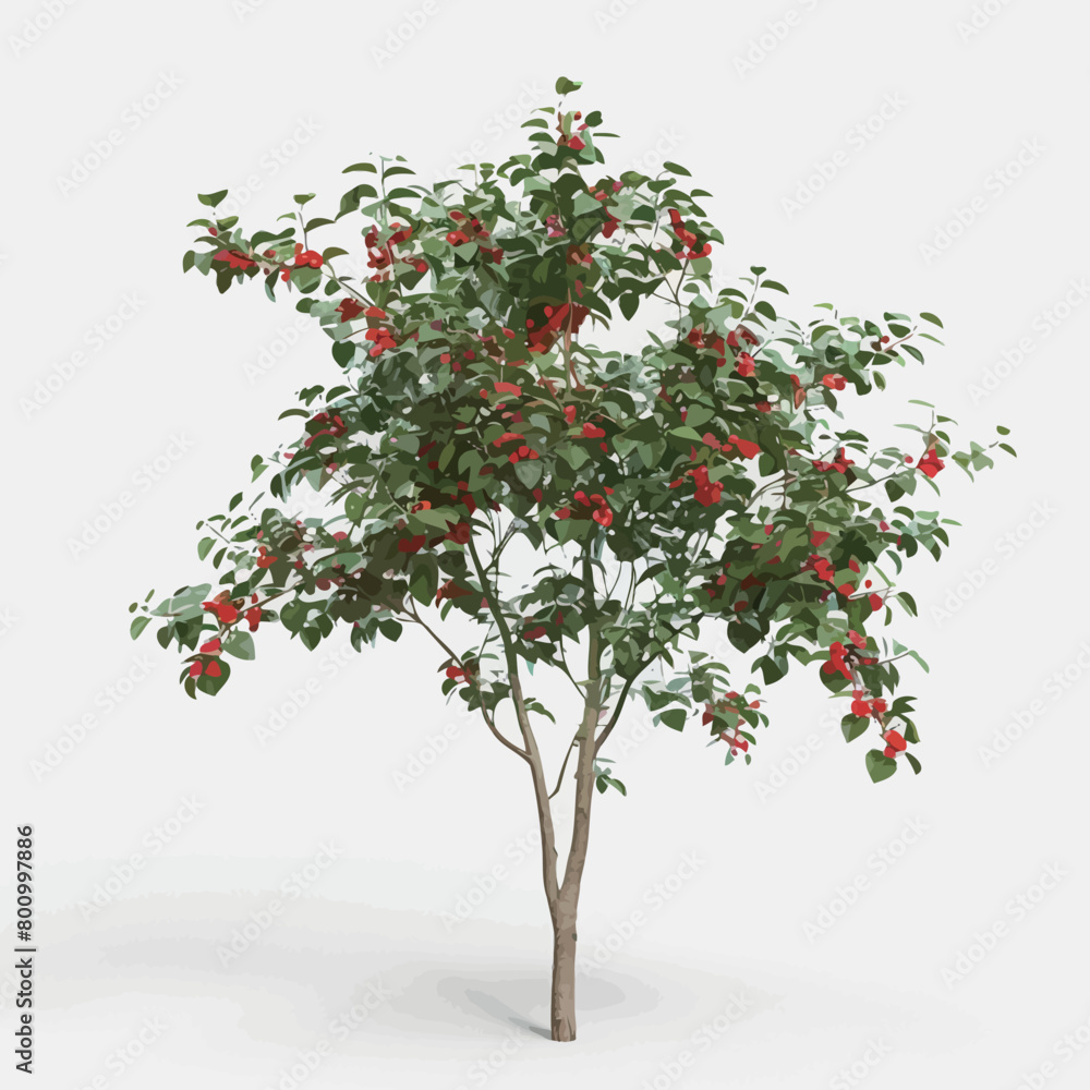 Branch of a rowan tree with white berries on a white background