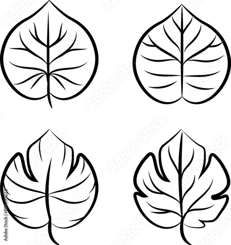 Collection of hand-drawn outline illustrations of taro leaves