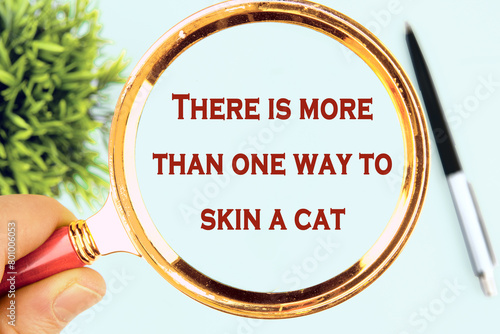 There is more than one way to skin a cat text written through a magnifying glass on a light background