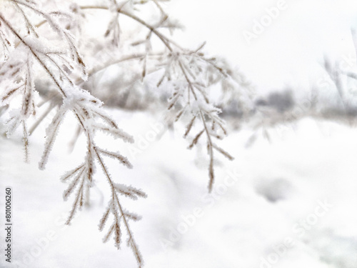 Winter Wonderland With Frost-Covered Grass and Snowy Backdrop. Frost clings to grass on a snowy field