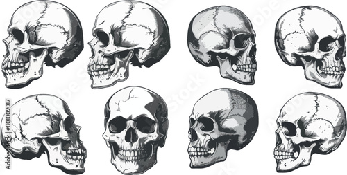 Skull profile. Detailed anatomy and halftone silhouette skulls, skeleton head side set, cranium pictures