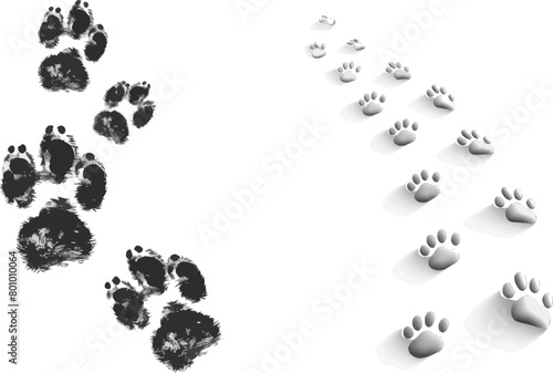  Dog or cat paws print vector