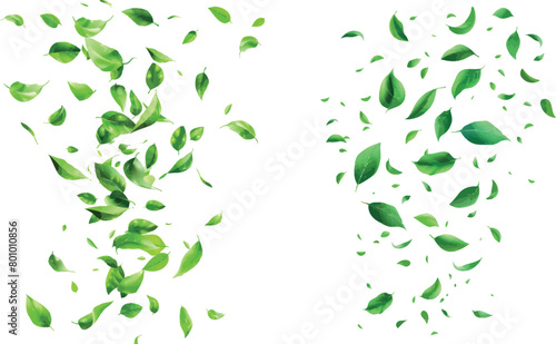 Realistic flying foliage. Natural falling of green leaves or leaf fly on air stream with blurry effect