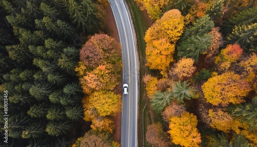 Aerial view over a small road cutting through an autumnal forest  © robfolio
