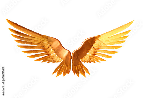  copper color wings on white background 