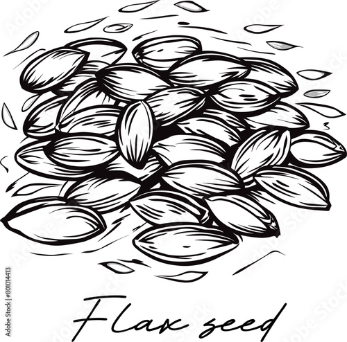 Flax seed hand drawn black and white vector