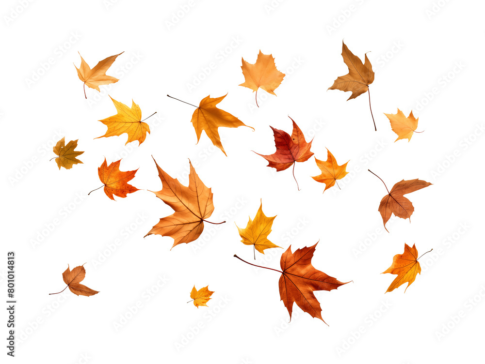 A dynamic arrangement of autumn leaves in mid-fall, with a palette of warm tones against a transparent background. Generative AI A dynamic arrangement of autumn leaves in mid-fall, with a palette of warm tones against a transparent background. Generative AI