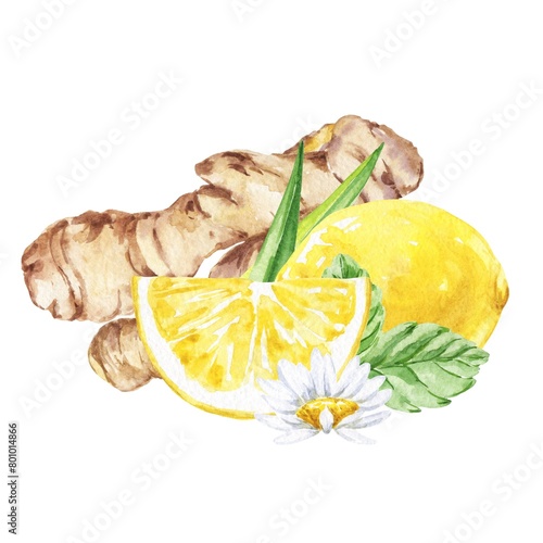 Ginger with lemon watercolor food composition (ID: 801014866)