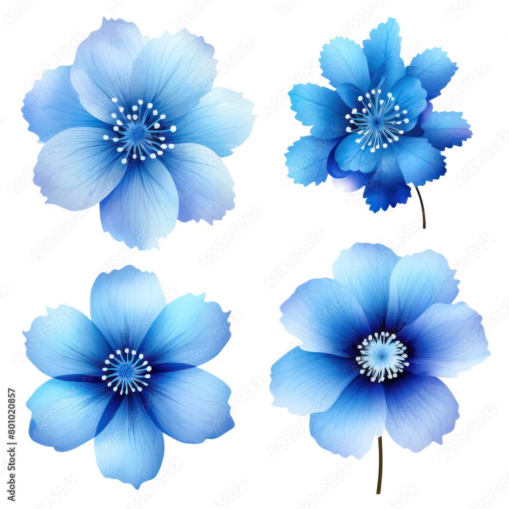 Set of blue flower various blue flower isolated on transparent background