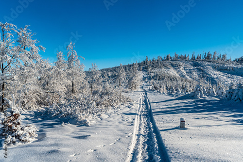 Snow covered hiking trail to Velky Prislop hill in Kysucke Beskydy mountains on slovakian - polish borders photo