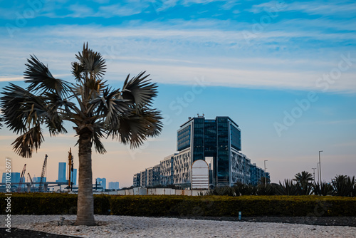 palm trees at sunset © tashmetova808
