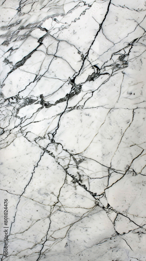 White Beauty marble with crisp white background and delicate gray veins White Beauty marble with crisp white background and delicate gray veins