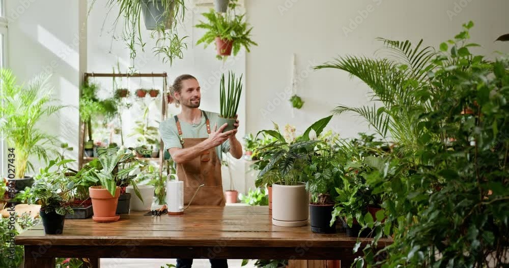 Caucasian man in apron nurturing plants with care in greenery at floral shop. Enjoying his job at cozy flower shop. Concept of plants care and home garden. Love of plants. Flower shop Caucasian man in apron nurturing plants with care in greenery at floral shop. Enjoying his job at cozy flower shop. Concept of plants care and home garden. Love of plants. Flower shop