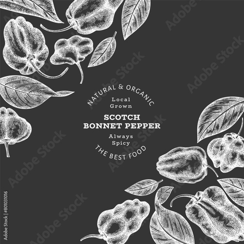 Hand drawn sketch style scotch bonnet pepper banner. Organic fresh vegetable vector illustration on chalk board. Retro cayenne pepper design template