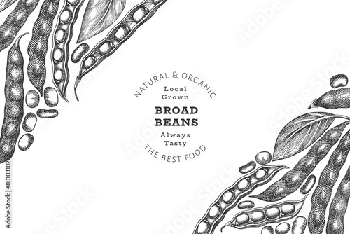 Hand drawn broad beans design template. Organic fresh food vector illustration. Retro pods illustration. Engraved botanical style cereal background.
