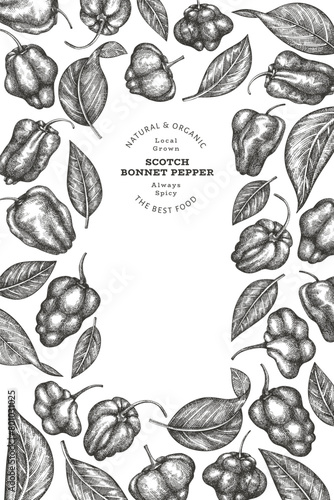 Hand drawn sketch style scotch bonnet pepper banner. Organic fresh vegetable vector illustration. Retro cayenne pepper design template
