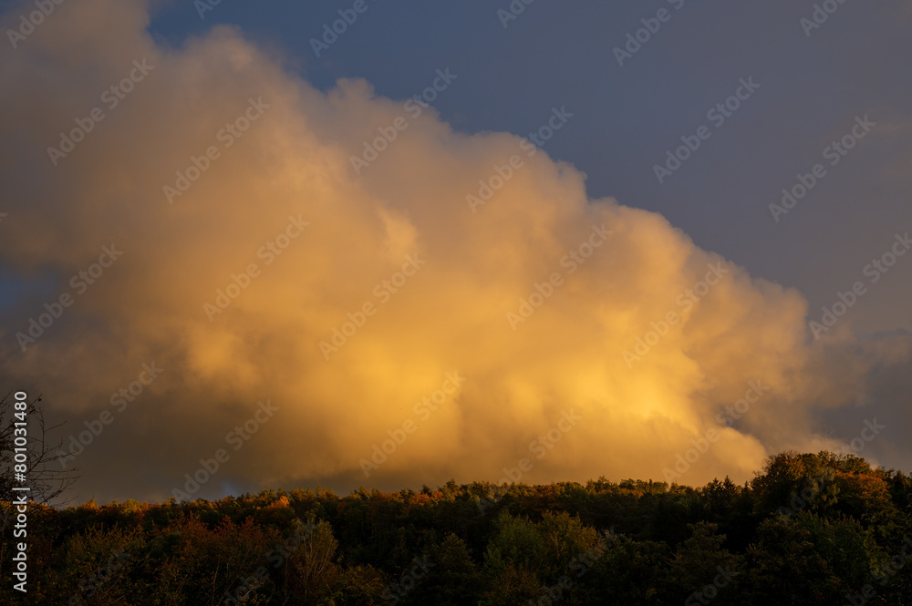 Big cloud in the evening light over green forest