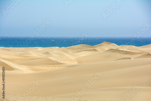 Sand dunes by the sea