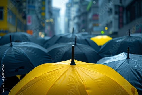umbrellas black and yellow rain
