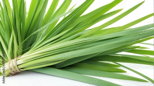 closeup of lemongrass leaves on plain white background from Generative AI