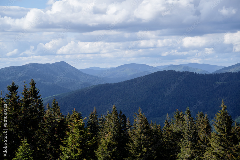 Beautiful mountains landscape with green forest. Carpathians, Ukraine.