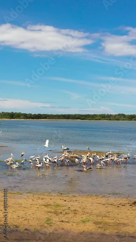 Aerial view of lake with birds in the reserve against the background of blue sky and clouds. Sri Lanka.