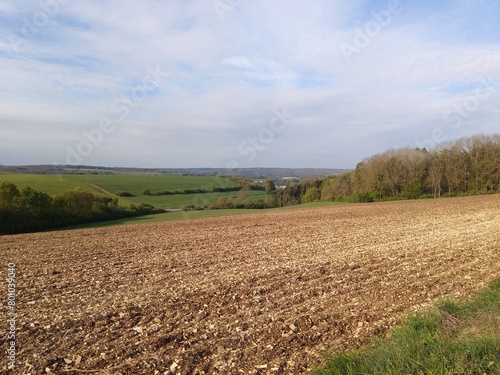 plowed field and sky