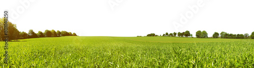 Meadow Panorama in Summertime - Transparent PNG Background