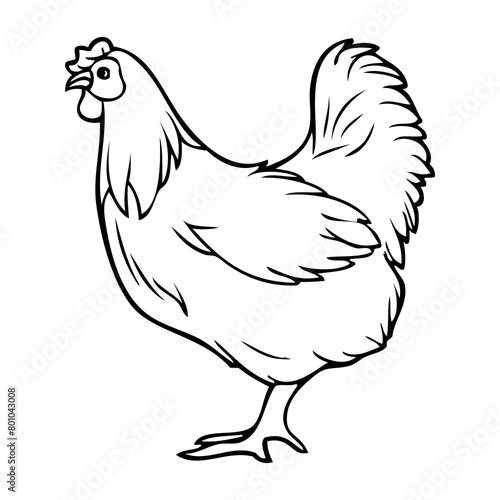hen outline illustration