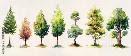 A collection of hand-drawn watercolor trees for use in various artistic projects, featuring a variety of forest tree designs. © ChubbyCat