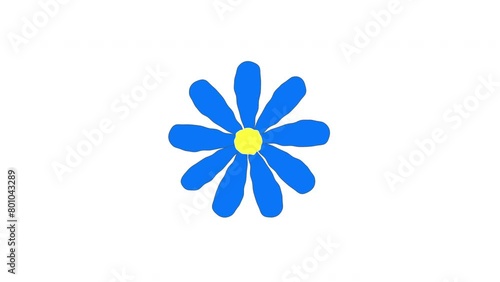 Blue flower, daisy seamless looped animation. Alpha channel.	 photo
