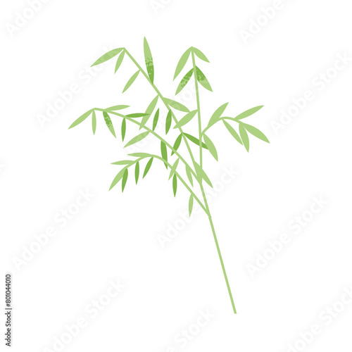 Bamboo branch  green leaves. Decorative exotic leaf twig  tropical natural design element. Foliage plant. Modern botanical floral decoration. Flat vector illustration isolated on white background