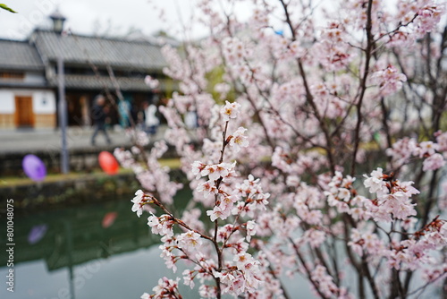 Canal in Bikan Historical Area, Old Japanese Town in Kurashiki, Okayama, Japan - 日本 岡山 倉敷 美観地区 古い街並み 