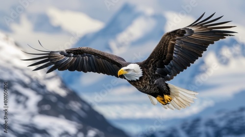 Mantis Eagle flies against the background of rocks