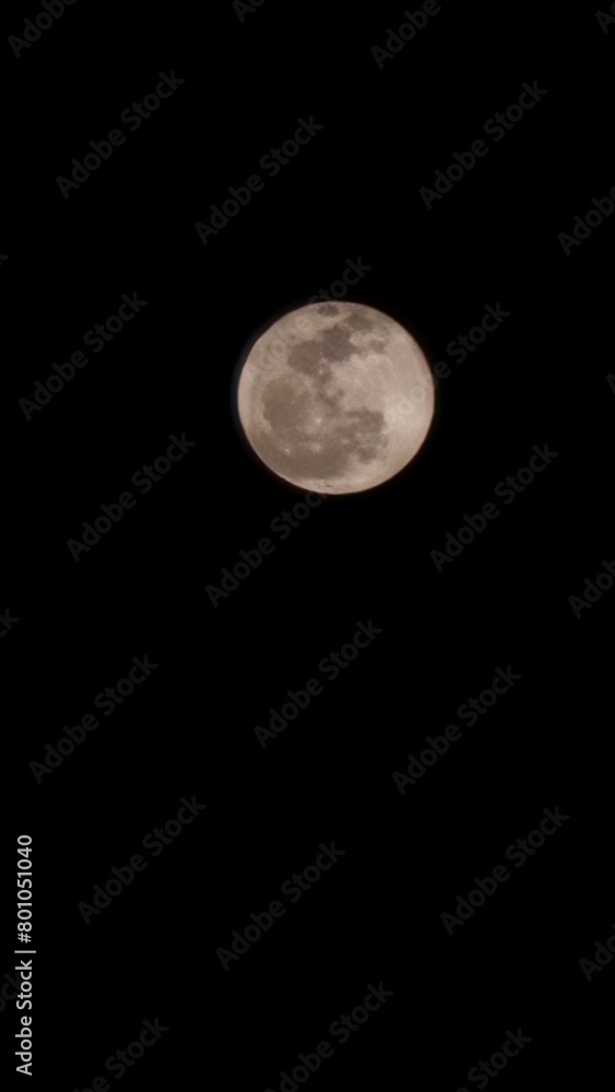 Fototapeta premium moon