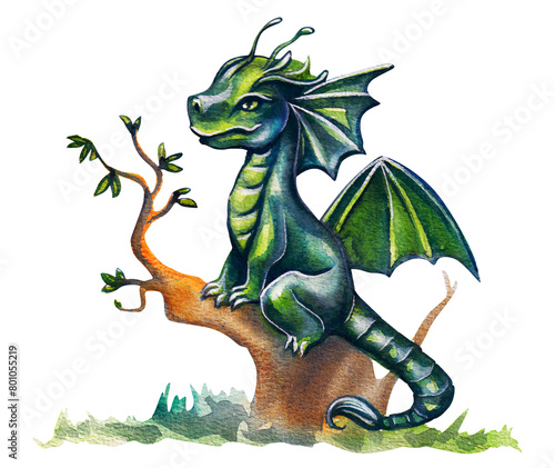 Fantasy drawing of a green forest dragon on a tree. Watercolor drawing on a white background.