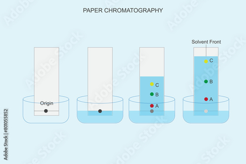  Paper Chromatography. Separating Solutions with Precision.