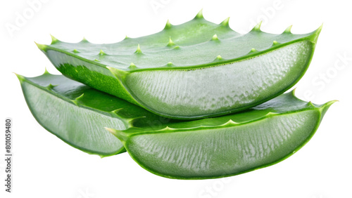 Aloe vera slice isolated on Transparent background.