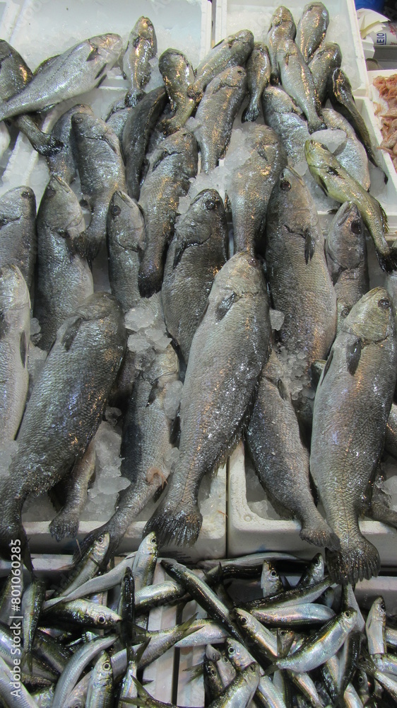 pescaderia pescaderia