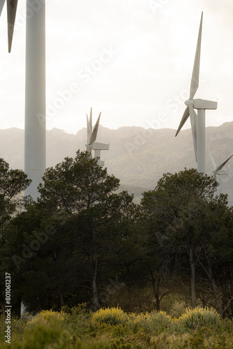 Soft light bathes windmills in a natural park eolic setting, embodying environmental and green energy virtues in a tranquil landscape photo