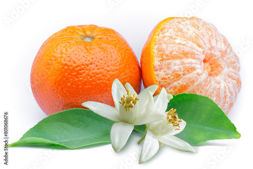Mandarin (Citrus reticulata), Rutaceae. Also known as tangerines or clementines. Fruit with leaves and flowers on white background. photo