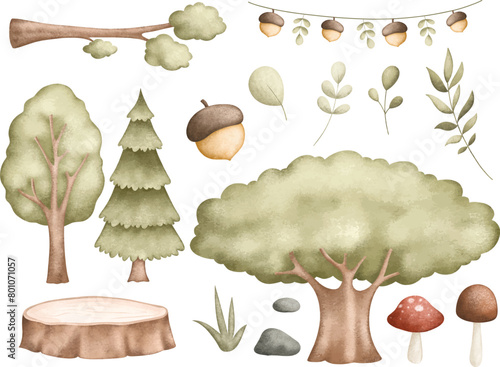 Watercolor Illustration Set of Forest Elements