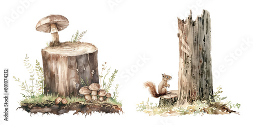 Watercolor stump with mushrooms and a squirrel