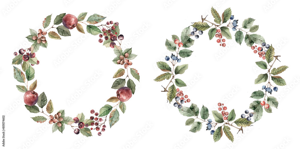 Fruit and foliage watercolor wreath arrangement Fruit and foliage watercolor wreath arrangement