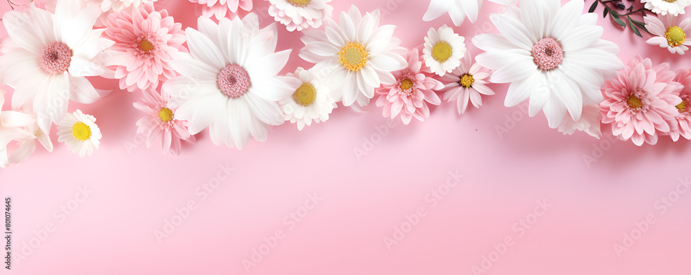  colorful pink and white flowers on the abstract pink colour in the background 