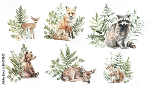 Fototapeta Naklejka Na Ścianę i Meble -  Watercolor wildlife animals in natural habitat