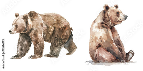 Brown bears portrayed in watercolor technique photo