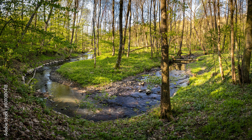 Fotografie Spring scenery of creek meander in sunny forest